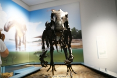 14.07.2021, Dortmund, Dinos in Dortmund. Bild: Die Sonderausstellung Dinosaurier im Naturkunde Museum Dortmund - Foto: Björn Koch