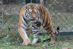 Zoom Erlebniswelt im Herbst 2016