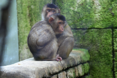 Zoom Erlebniswelt im Herbst 2016