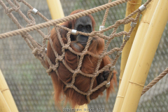 Zoom Erlebniswelt im Herbst 2016