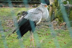 25.12.2005, Münster, Allwetterzoo Münster im Dezember 2007. Bild: Besuch des Allwetterzoo Münster am 1. Weihnachtstag 2007. - Foto: Björn Koch